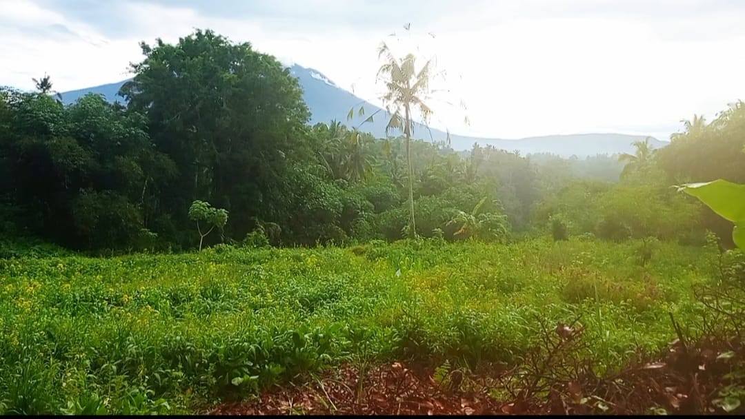 land for sale view of Mount Agung
