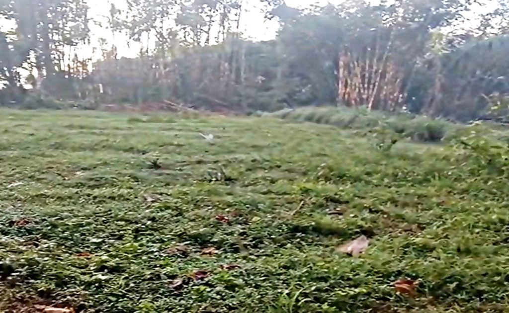 Land for sale in Muncan Karangasem