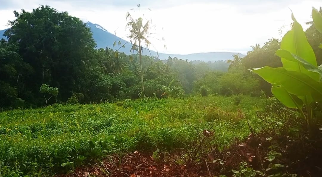 dijual tanah 57 are view gunung agung