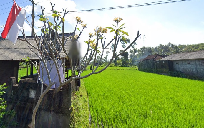 dijual tanah 25 are sawah dan rumah di karangasem